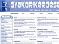 http://gyakorikerdesek.hu ismertető oldala